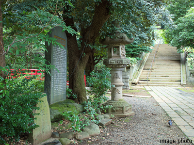 氷川神社イメージ｜パークハウス赤坂氷川
