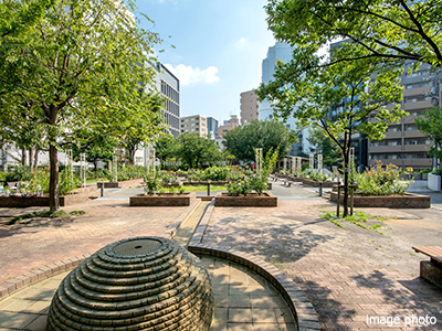 氷川公園イメージ｜パークハウス赤坂氷川